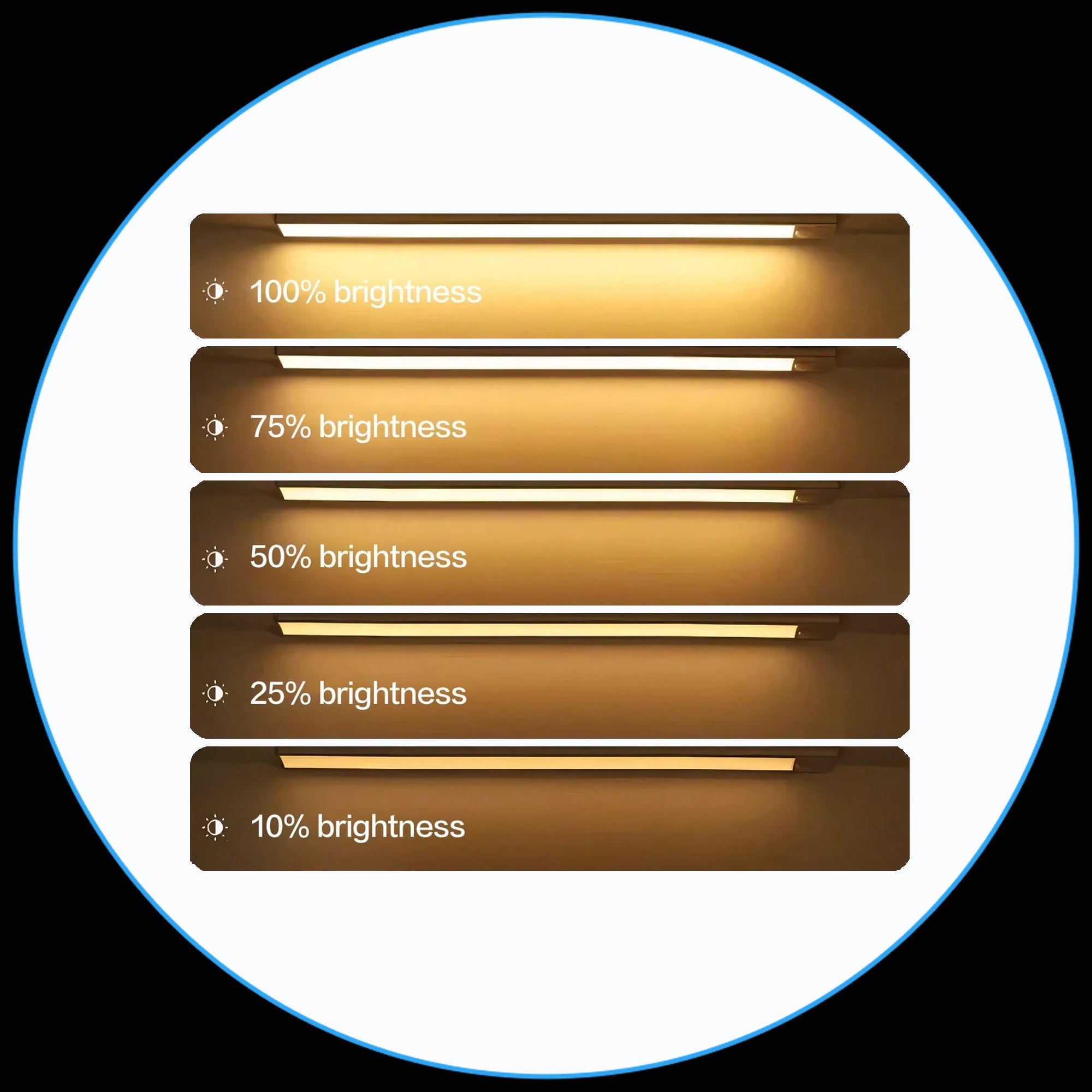 Motion-Activated Light